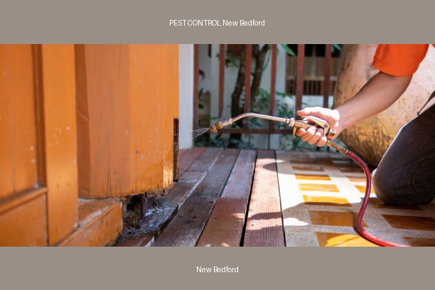 PEST CONTROL New Bedford